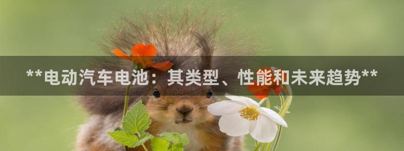 优发国际官方网平台电话