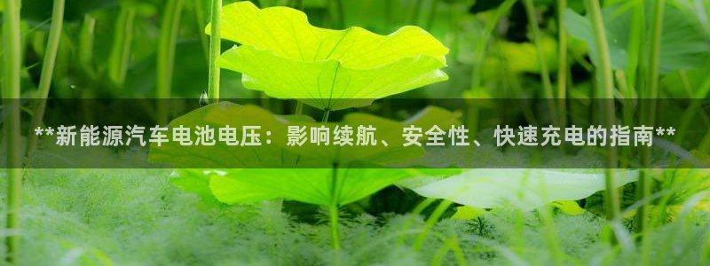 优发国际手机app下载安装