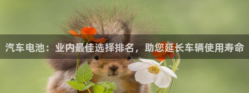 优发国际是大平台吗还是小平
