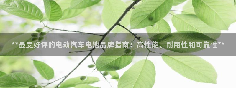 优发国际官网
