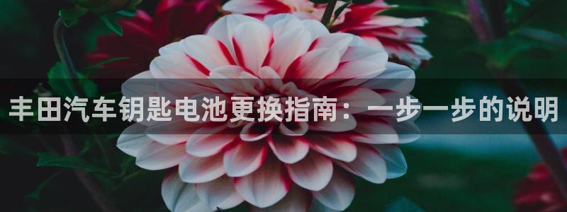 优发国际官方网手机版