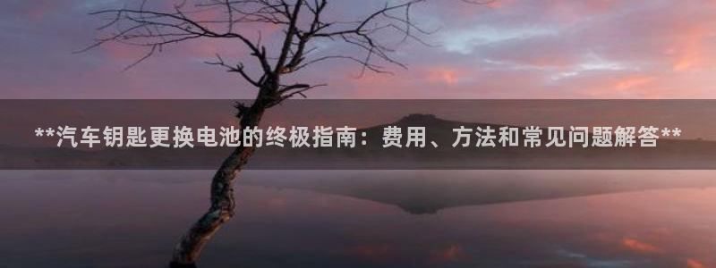 优发国际多少