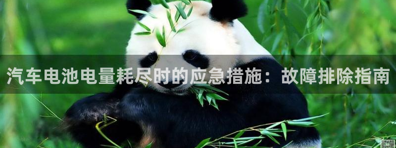 优发国际在哪里下载