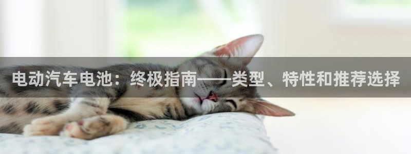 优发国际网官网17w8