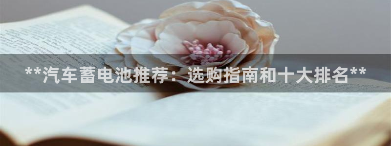 优发国际官网下载安装手机版