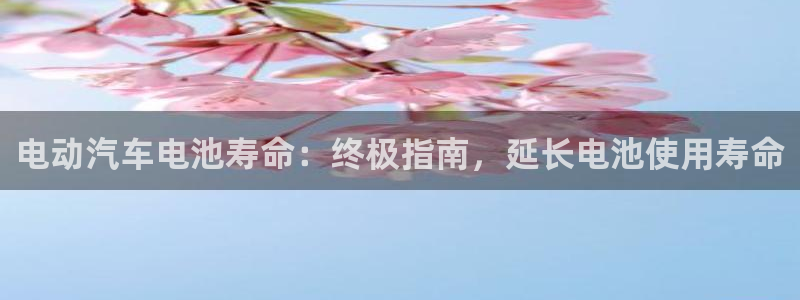优发国际网官网17w8