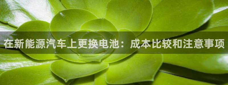 优发国际手机版下载官网