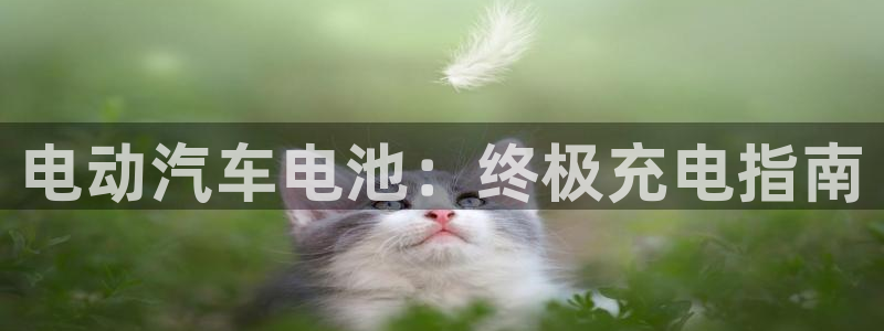优发国际官网是多少