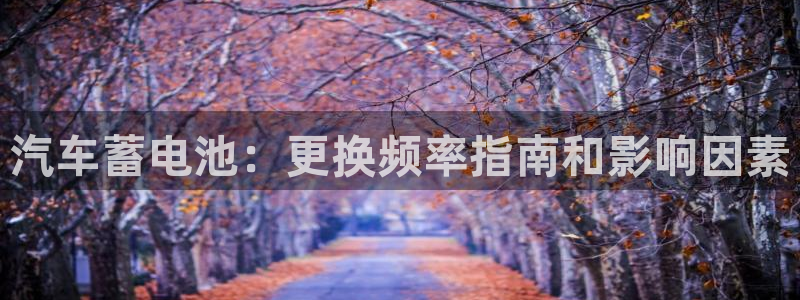 优发国际官网入口app下载安装