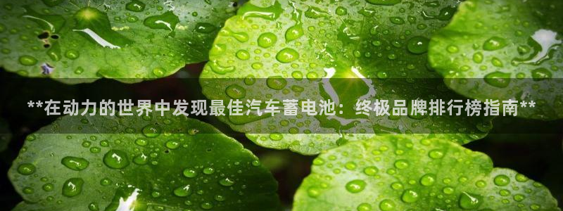 优发国际手机客户端怎么下载