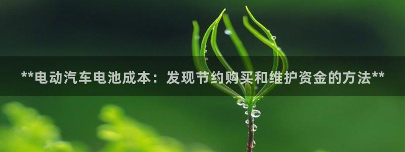 优发国际官方网手机版