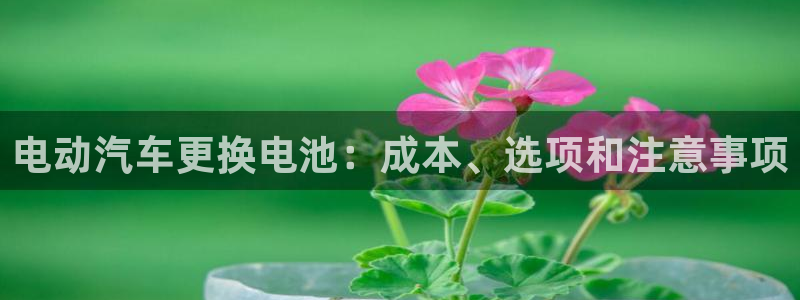 优发国际官网手机版代理