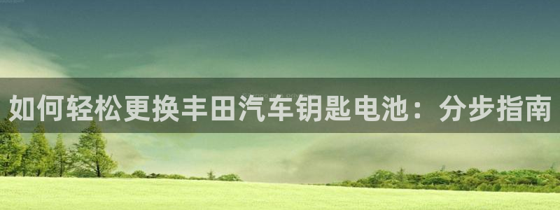 优发国际平台g80