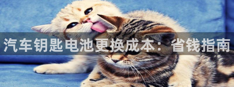 优发国际网官网17k8