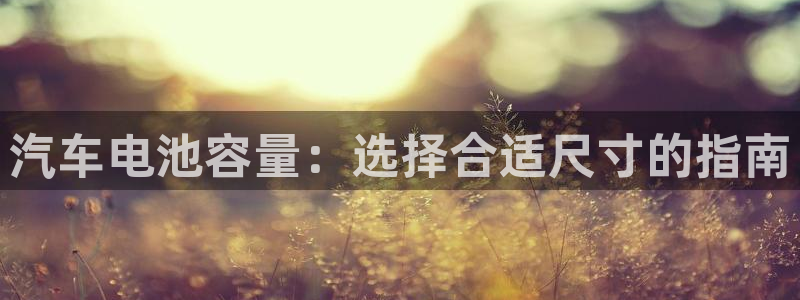 优发国际官方网手机版下载安卓
