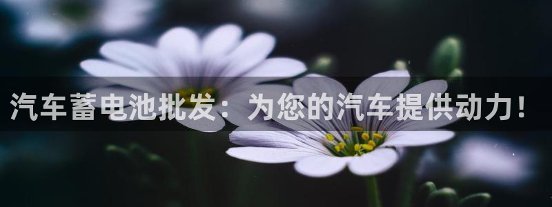 优发国际不出款怎么办