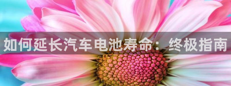 优发国际 干什么的