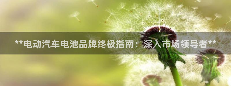 优发国际手机客户端下载安装手机版