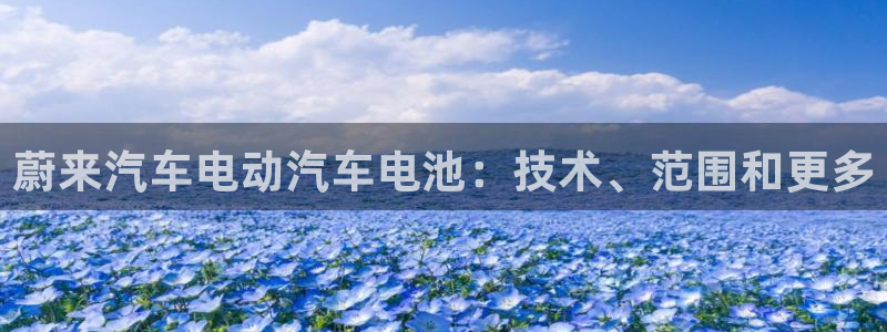 优发国际免费游戏下载