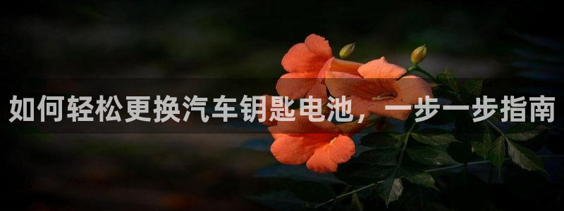 优发国际集团股份有限公司官网
