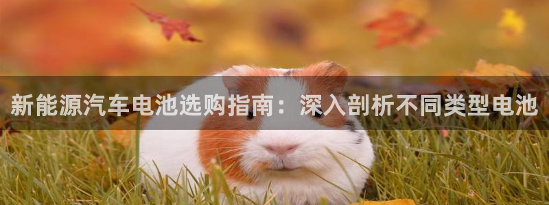 优发国际官网下载安装苹果