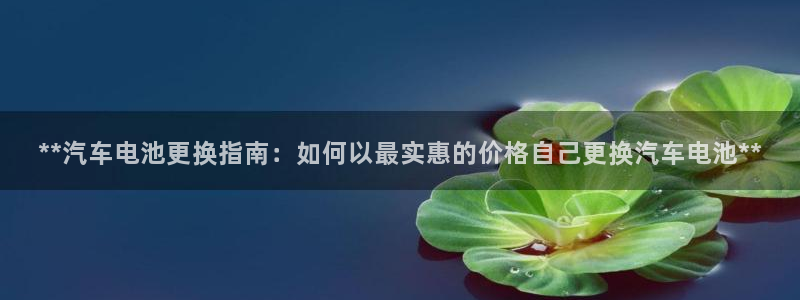 优发国际怎么样