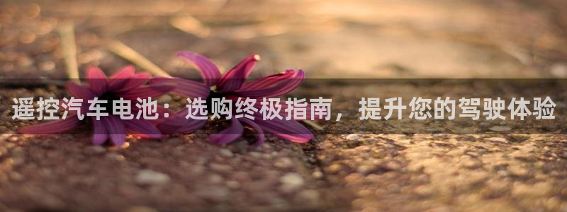 优发国际