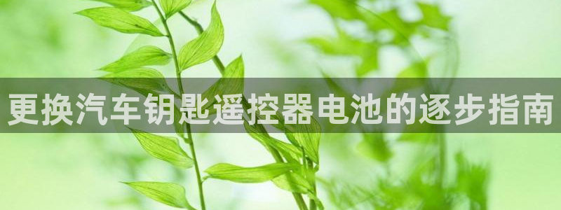 优发国际手机安装登录失败