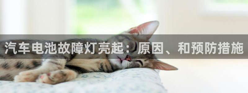 优发国际合并到哪里了最新消息