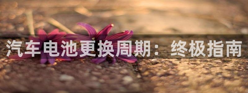 优发国际手机版唯一官网下载