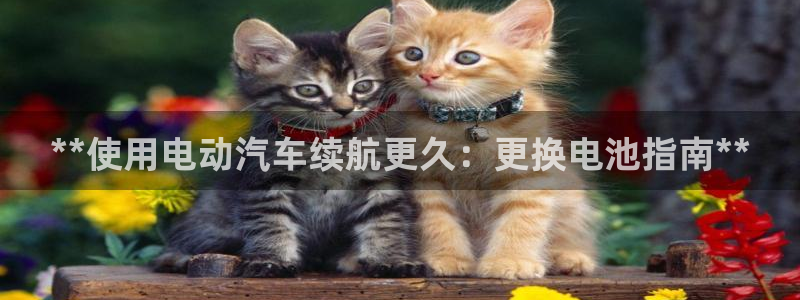 优发国际的官网是什么