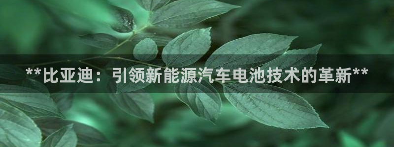 优发国际网官网17o8