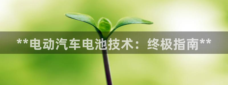 优发国际官网