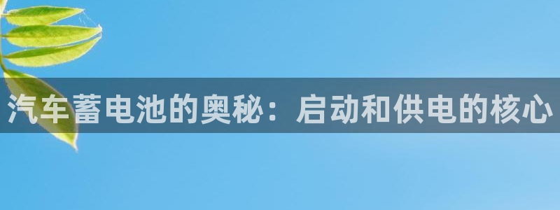 优发国际手机客户端app