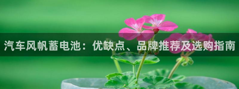 优发国际官方网手机版下载安装