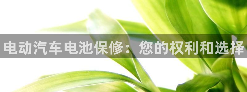 优发国际官网手机号