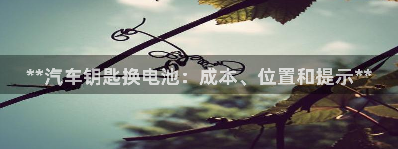 优发国际平台app下载