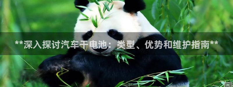 优发国际手机版唯一官网是什么