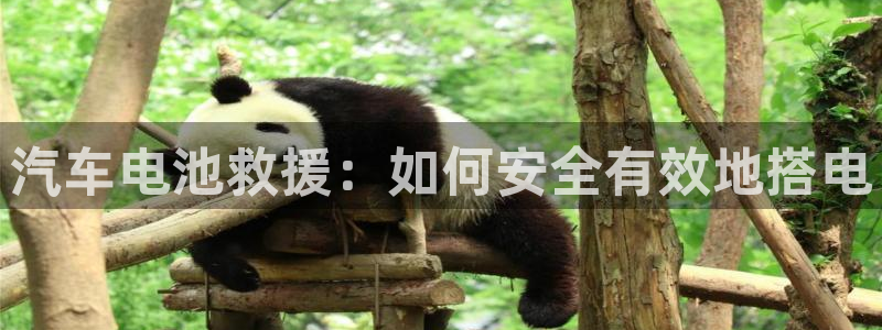 优发国际