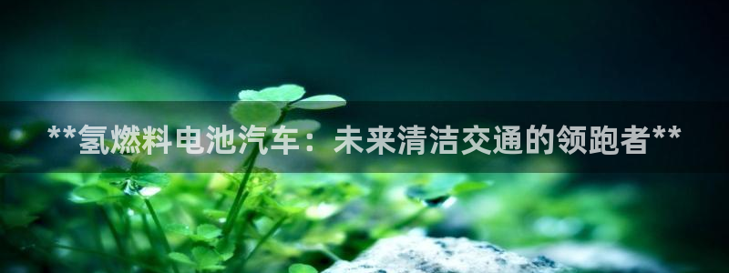 优发国际顶级