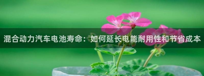 优发国际平台g8