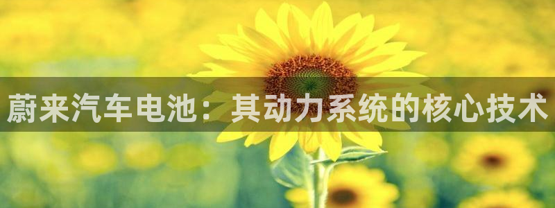 优发国际平台app下载