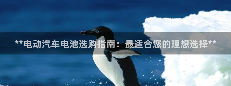 优发国际下载app