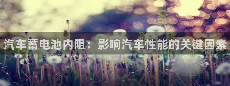 优发国际集团股份有限公司