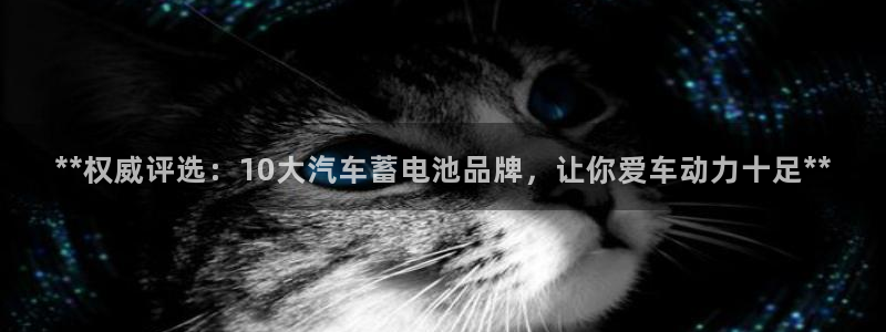 优发国际官网手机版入口