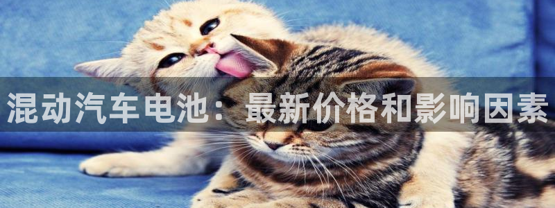 优发国际安卓版下载安装