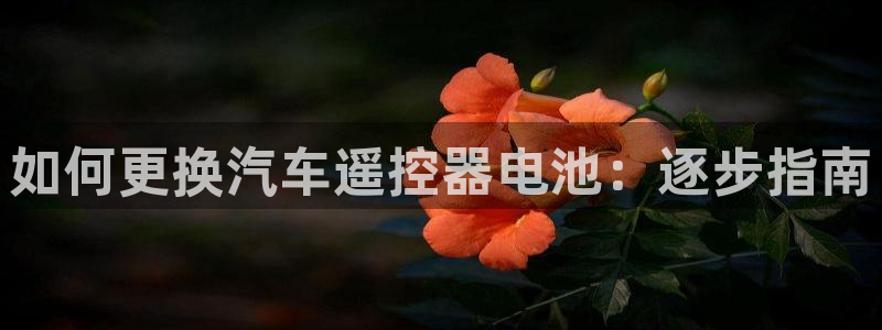 优发国际不出款怎么办