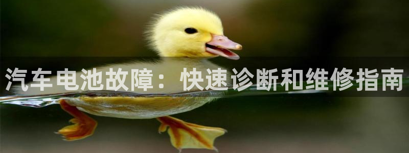 优发国际平台u8