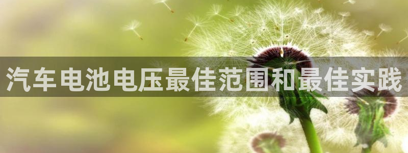优发国际手机版网站