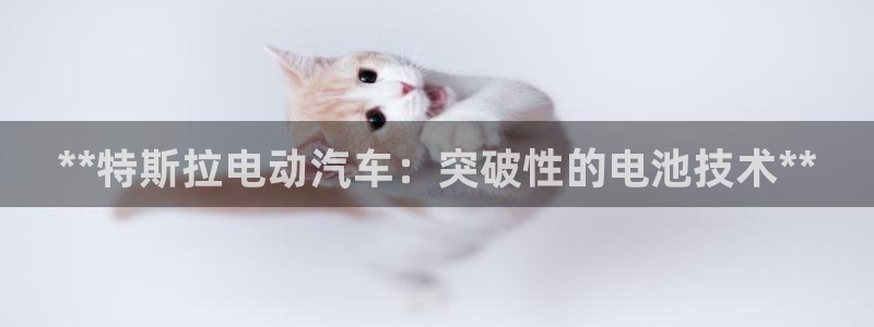 优发国际首页：**特斯拉电动汽车：突破性的电池技术**